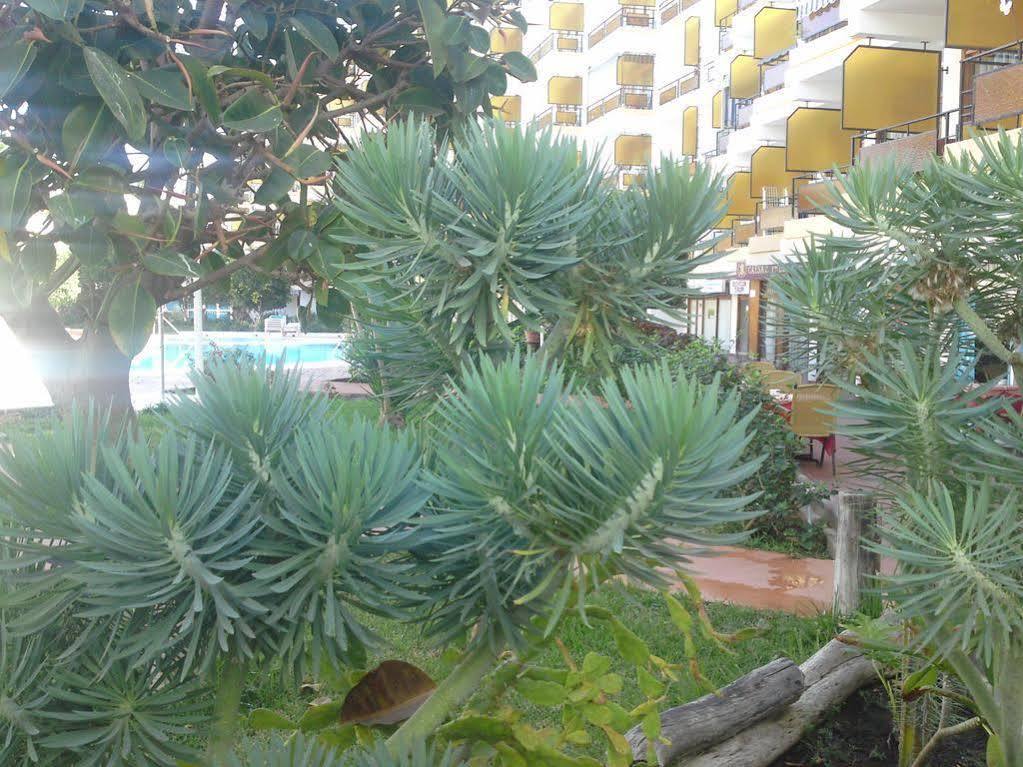 Apartamentos Europa Playa del Inglés Exteriér fotografie